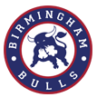 Birmingham Bulls Hockey